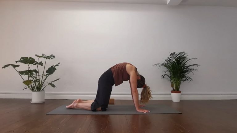 Cork Lotus Yoga - Vinyasa for Shoulders