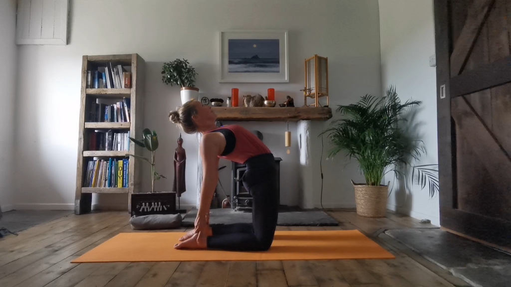 Building Up to Camel Katie Cork Lotus Yoga