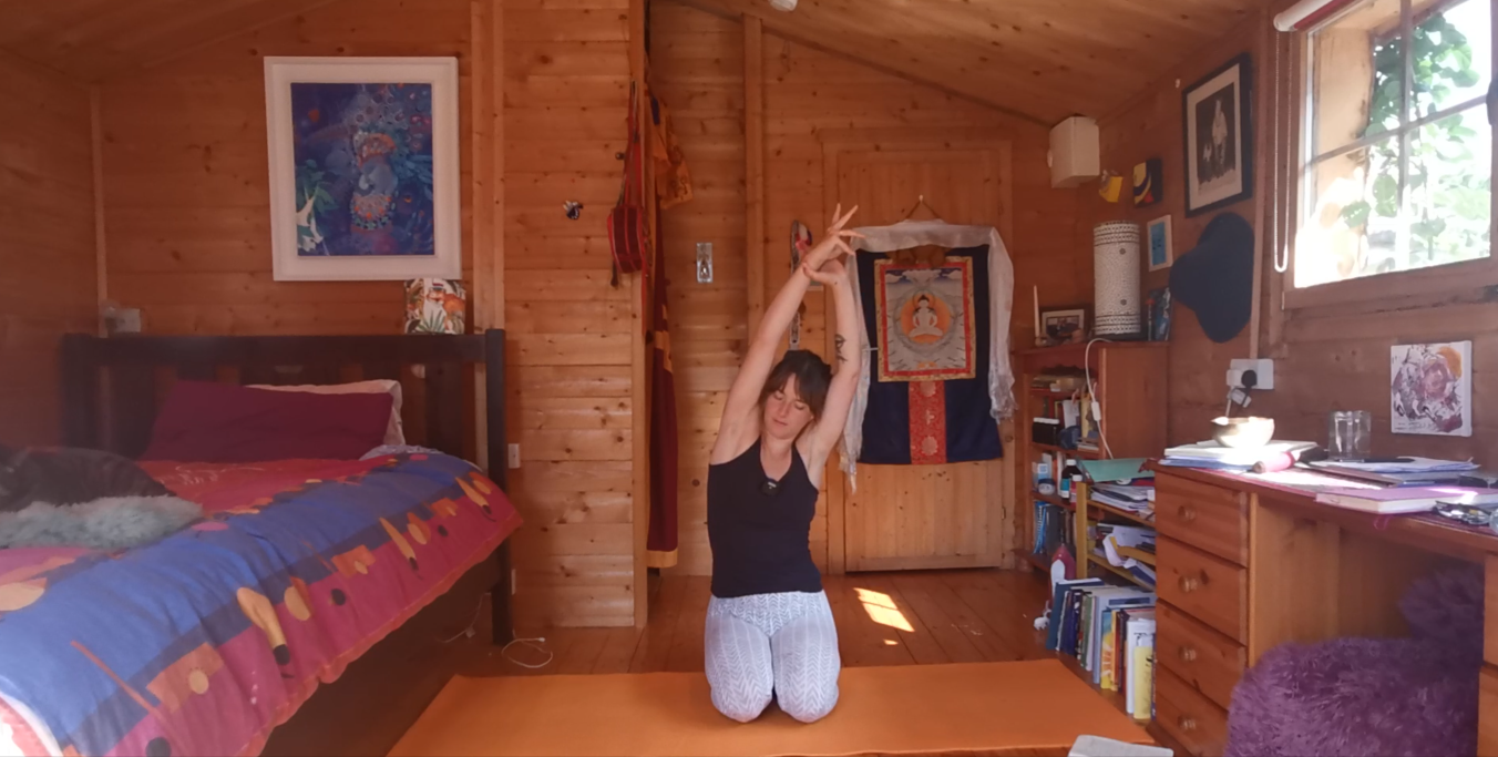 Shoulder Mobility Flow