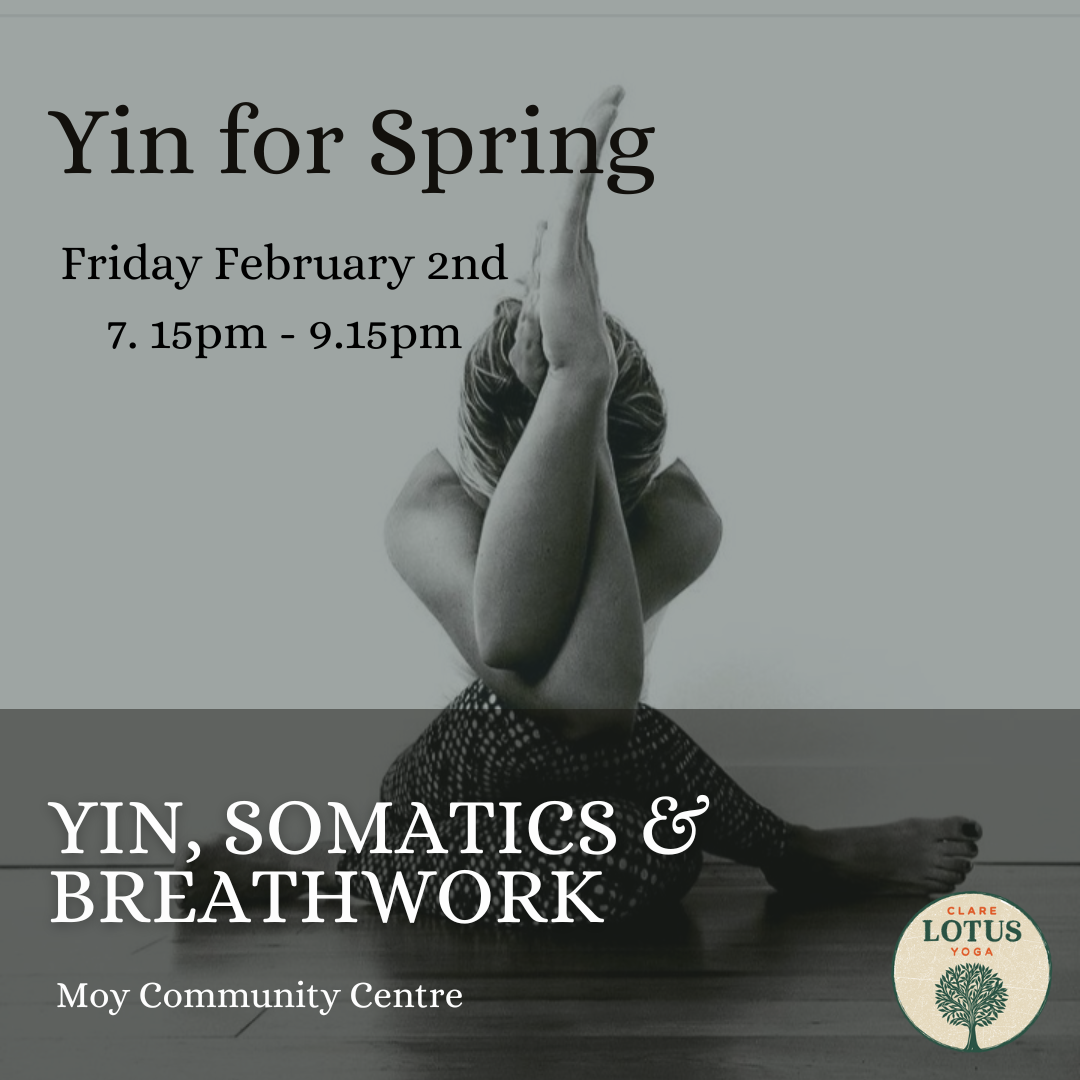 Yin Yoga Workshop