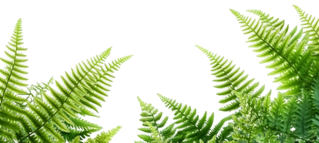 Subscription 3 Lotus Green Background