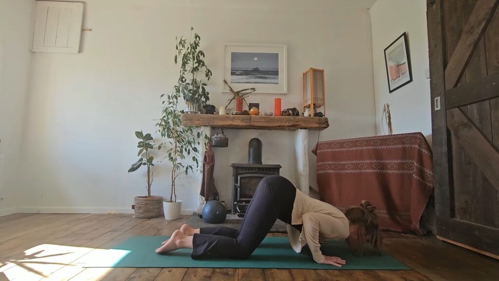Lift Your Boobies Cork Lotus Yoga