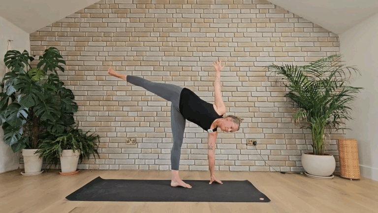 All Videos 6 Screenshot 244