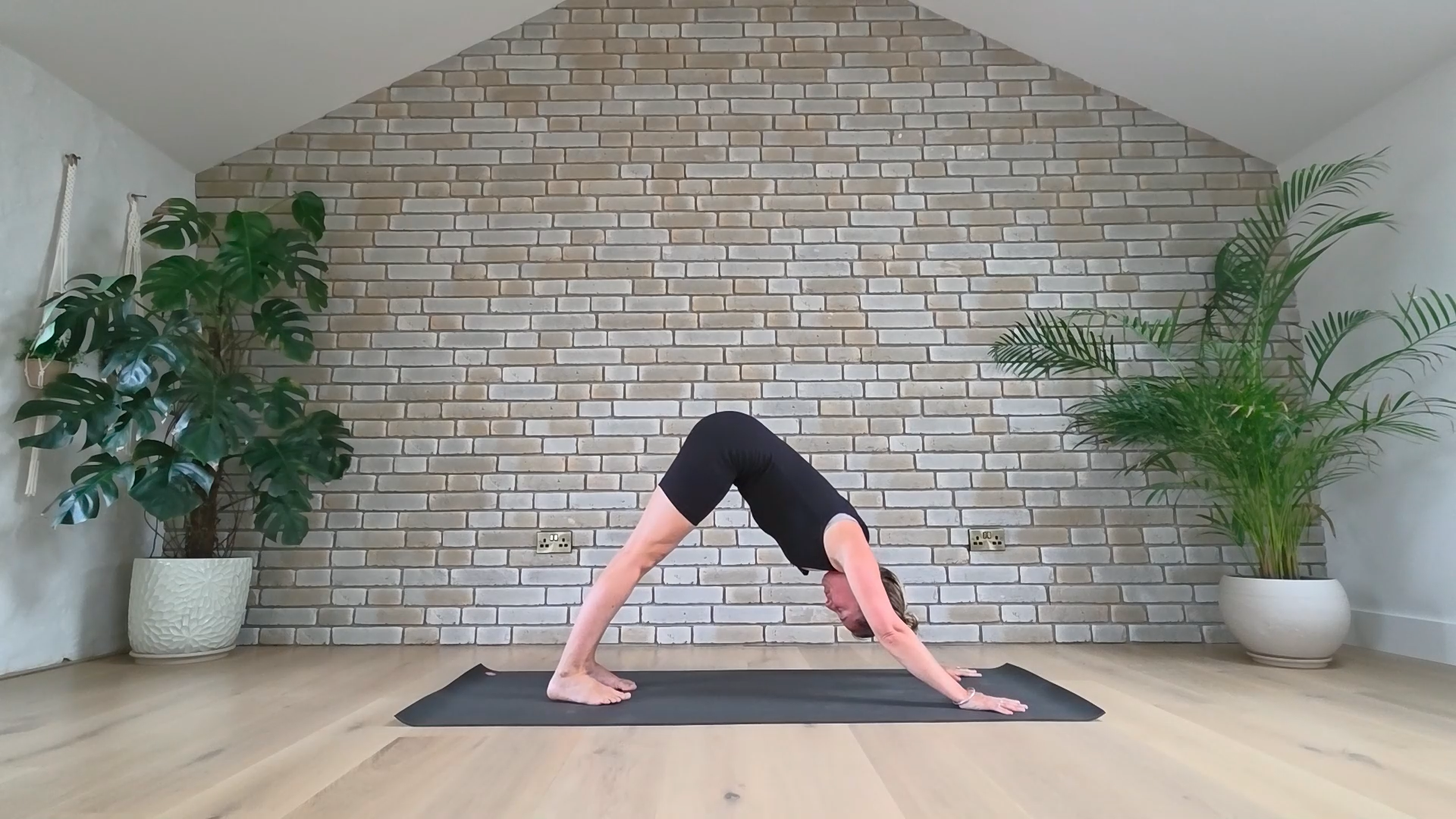 Tradition v’s Non Tradition (Sun Salutations)